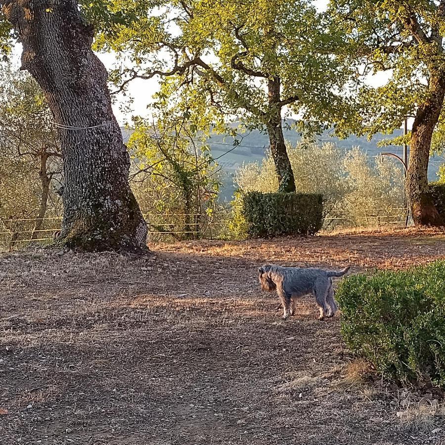 Casanova Di Ricavo Villa Gaiole in Chianti Kültér fotó