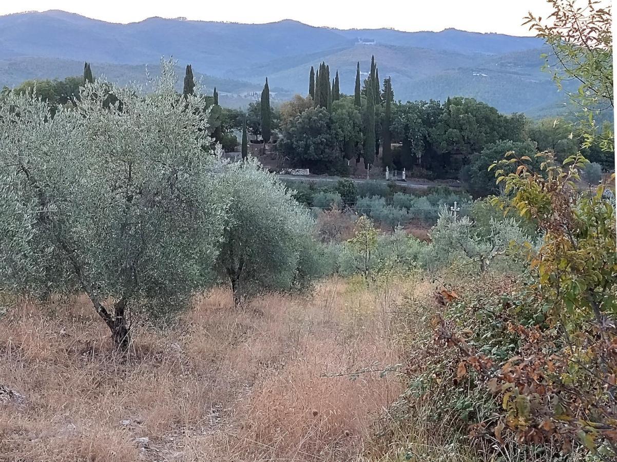 Casanova Di Ricavo Villa Gaiole in Chianti Kültér fotó